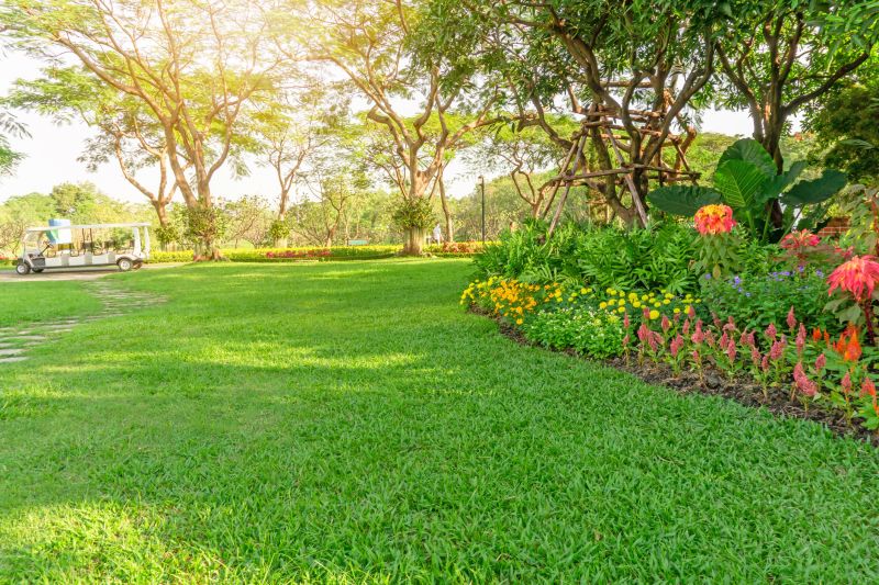 How Professional Landscaping Improves Curb Appeal