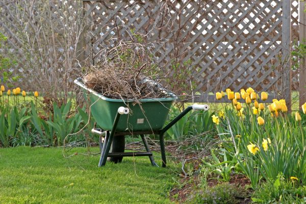 Flower Bed Cleanup Service in Chesterfield