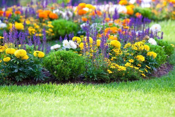 Flower Bed Maintenance in Chesterfield