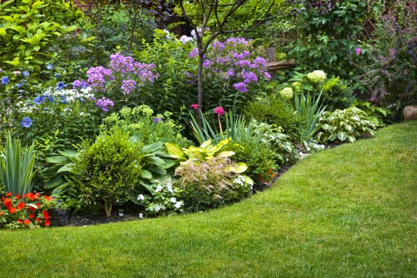 Flower Bed Service in Chesterfield