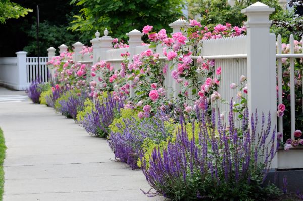 Garden Handyman Service in Chesterfield