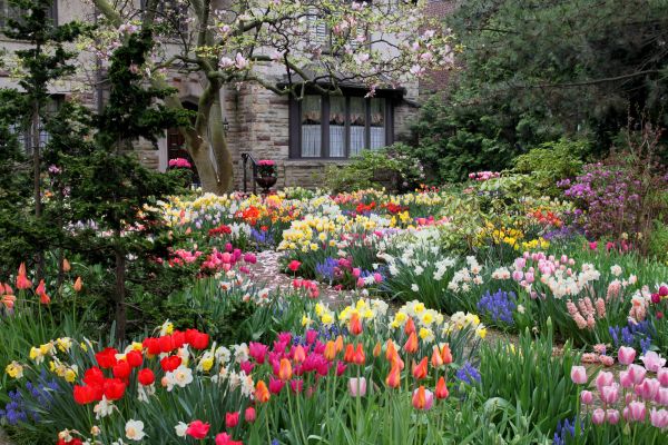 Garden Maintenance Service in Chesterfield