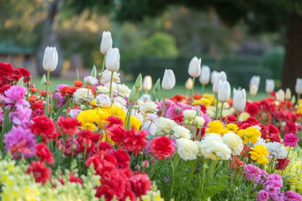Gardening Service in Chesterfield