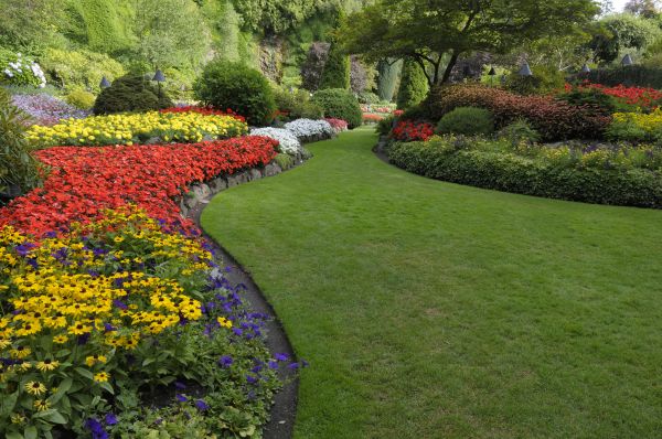 Landscaping Maintenance in Chesterfield