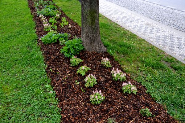 Mulch Replacement Service in Chesterfield