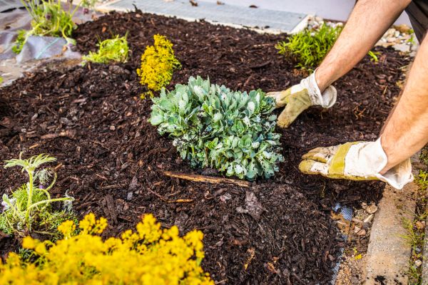 Weeding And Mulching in Chesterfield