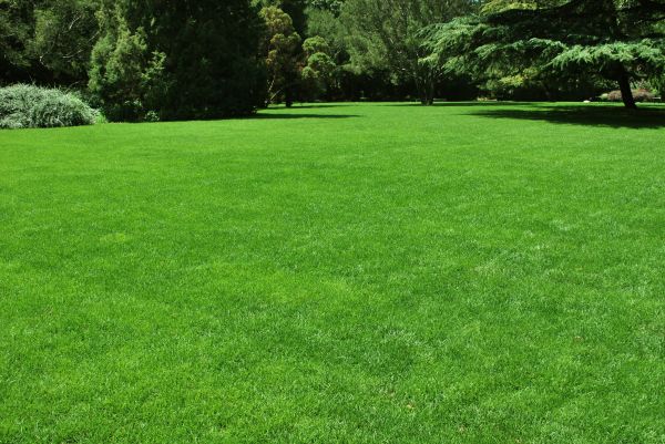 Lawn Landscaping in Chesterfield