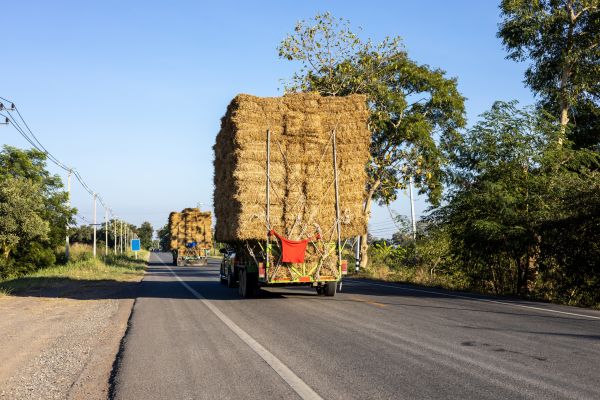 Pine Straw Delivery in Chesterfield