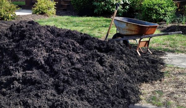 Black Mulch Delivery in Chesterfield