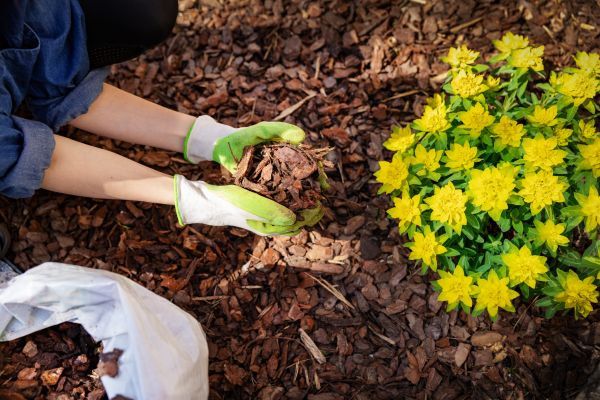 Garden Mulching in Chesterfield