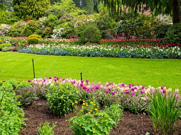 Residential Landscape Design in Chesterfield
