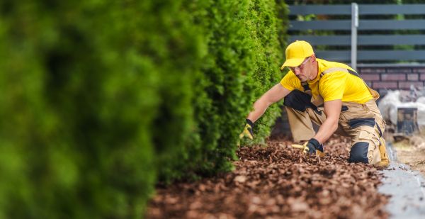 Cypress Mulch Installation in Chesterfield
