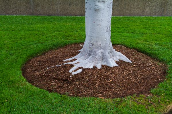 Brown Mulch Installation in Chesterfield