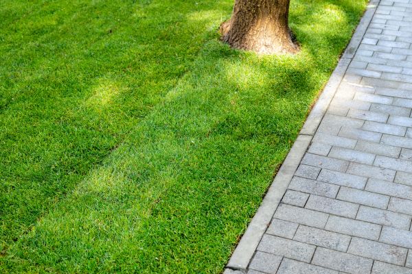 Border Stone Installation in Chesterfield