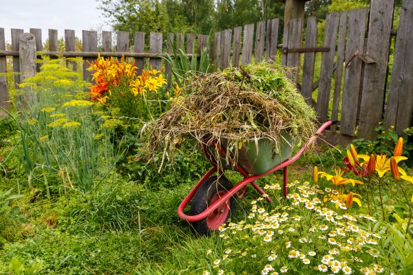 Garden Cleanup Service in Chesterfield