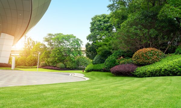 Business Landscape Design in Chesterfield