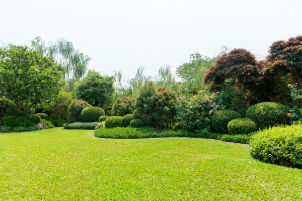 Tree Landscaping in Chesterfield