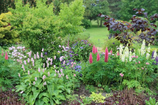 Flower Bed Planting in Chesterfield