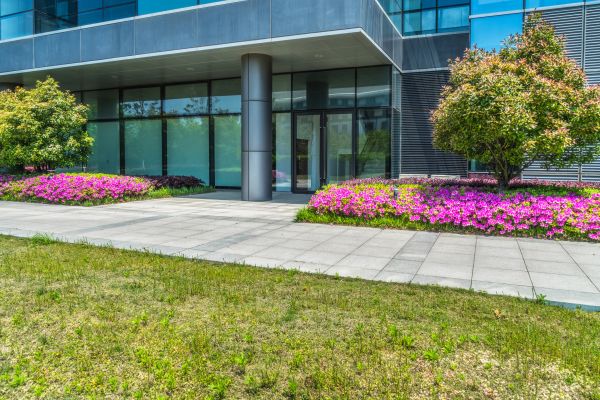 Commercial Gardening in Chesterfield