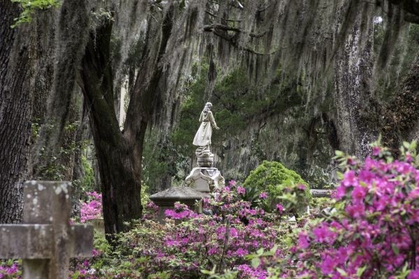 Cemetery Landscaping in Chesterfield