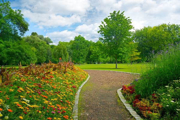 Park Landscaping in Chesterfield
