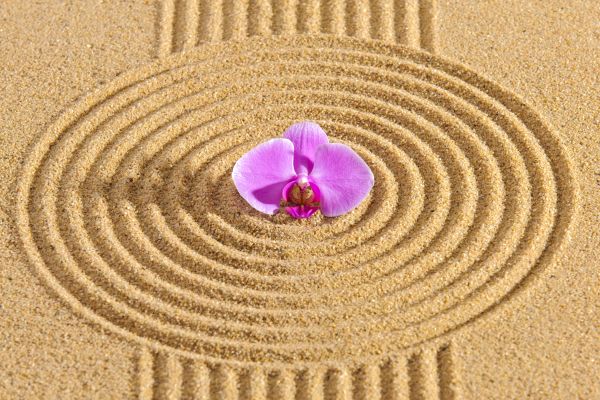 Sand Garden Landscaping in Chesterfield