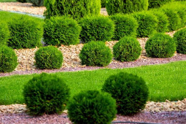 Bush Installation in Chesterfield