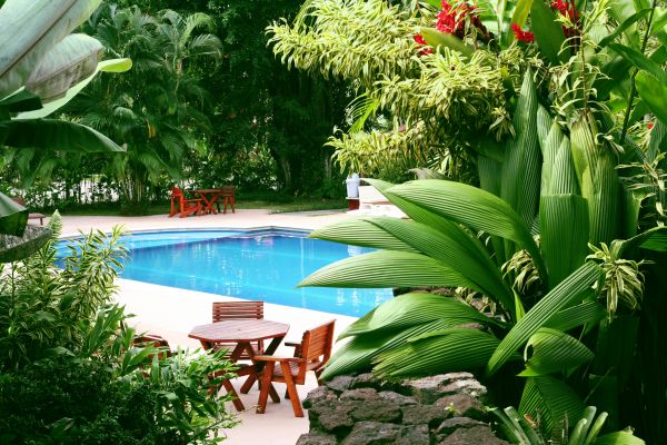 Pool Area Landscaping in Chesterfield