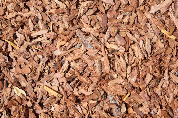 Pine Mulch Spreading in Chesterfield