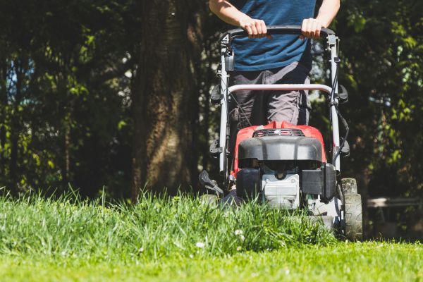 Garden Trimming Service in Chesterfield