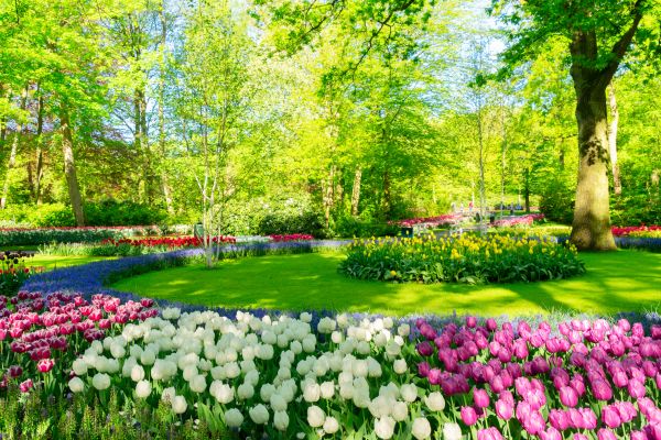 Flower Landscaping in Chesterfield
