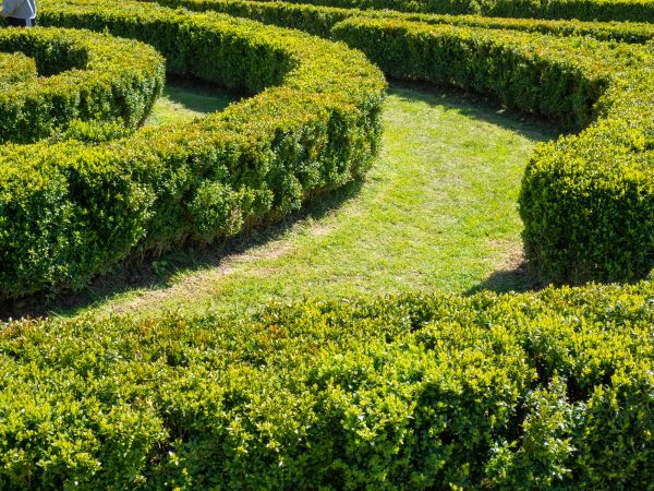 Bush Landscaping in Chesterfield