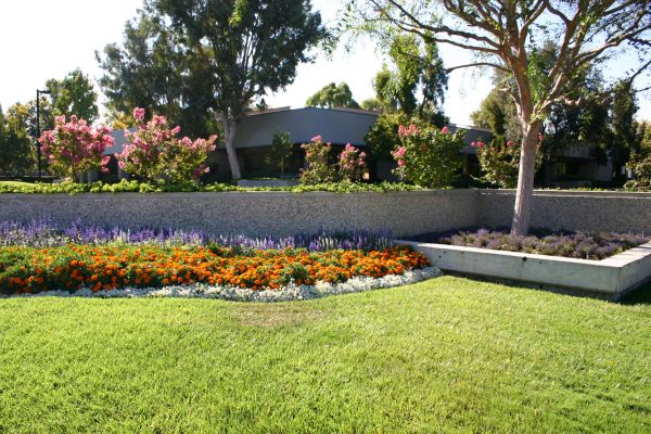 Commercial Landscape Service in Chesterfield
