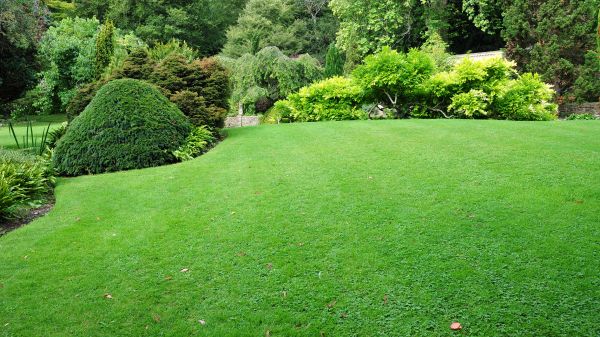 Commercial Landscape Design in Chesterfield