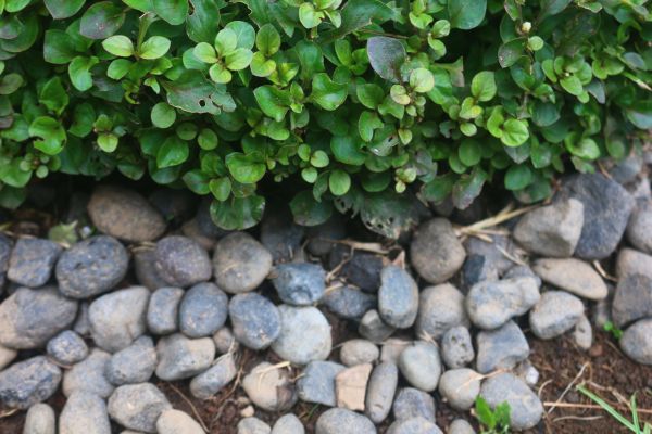 River Stone Installation in Chesterfield