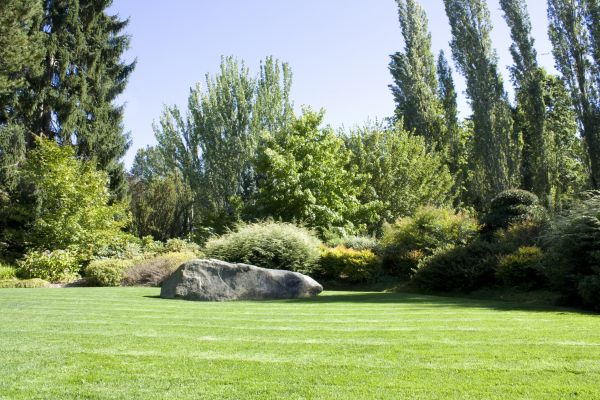 Yard Enlargement in Chesterfield