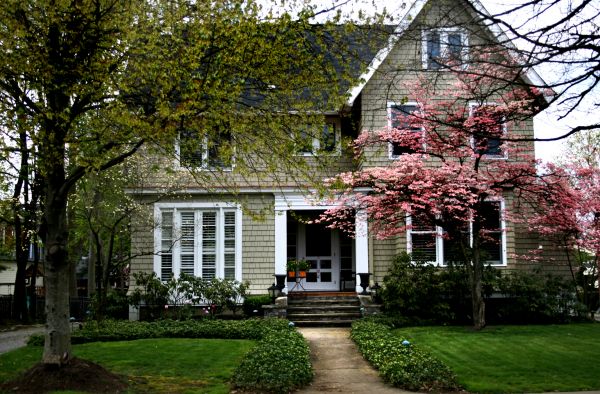 Ornamental Tree Planting in Chesterfield