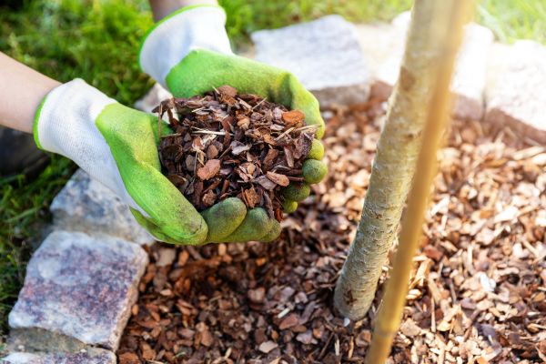Tree Bark Delivery in Chesterfield