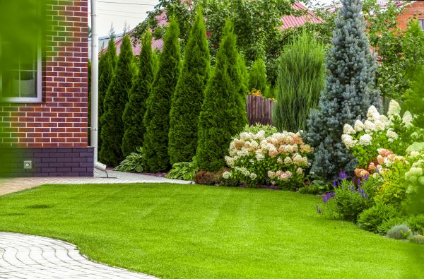Spring Landscaping in Chesterfield