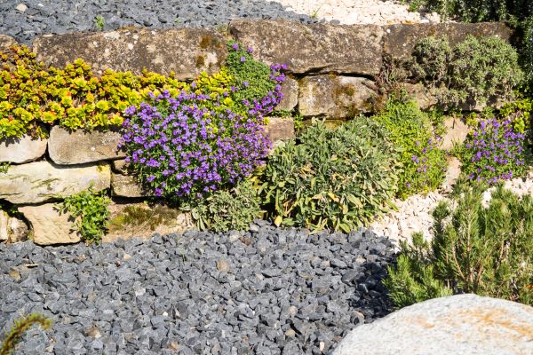 Landscaping Rocks Installation in Chesterfield