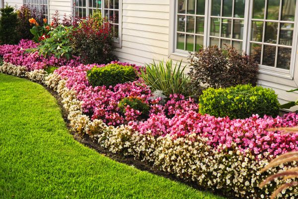 Garden Landscape Design in Chesterfield