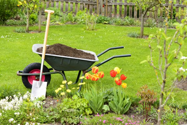 Spring Yard Renovation in Chesterfield