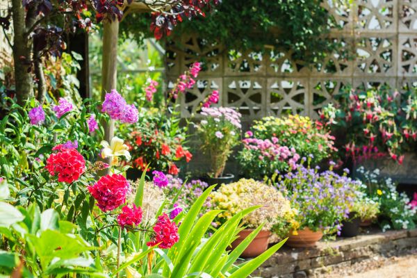 Spring Garden Maintenance in Chesterfield