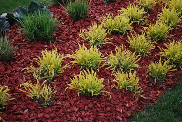 Red Mulch Installation in Chesterfield