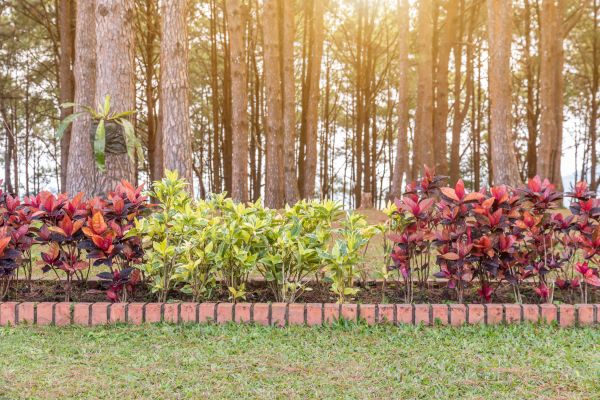 Small Garden Landscaping in Chesterfield