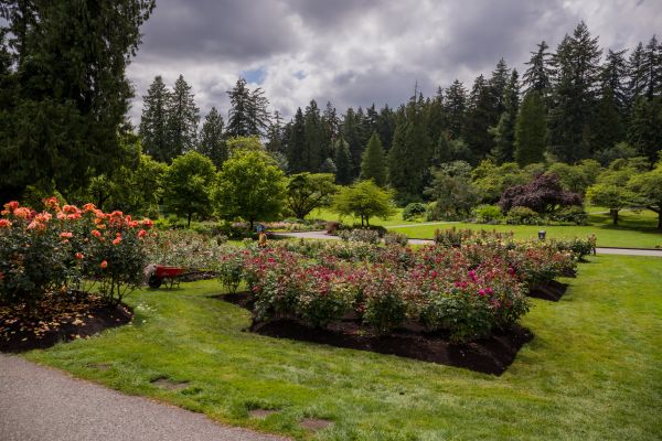 Flower Garden Landscaping in Chesterfield