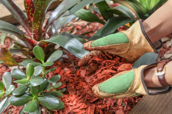 Residential Mulching in Chesterfield